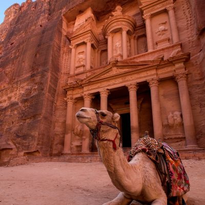 brown camel in front of brown rock formation during daytime