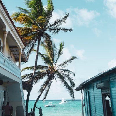 people on beach during daytime